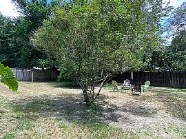This Charming Home Is on a Quiet Street Centrally Located Close in Gainesville, FL (Photo 9 of 10)