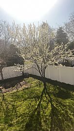 An Affordable and Comfortable House in West Jordan, UT (Photo 10 of 11)