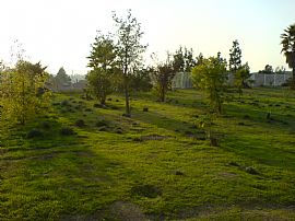 Huge home, spacious, , and with views in Moreno Valley, CA (Photo 5 of 6)