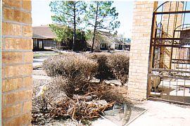 SINGLE ROOMS FOR RENT in New Orleans, LA (Photo 6 of 6)