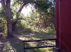 Three Bedroom, Two Bath Duplex in Clearwater, FL (Photo 5 of 6)