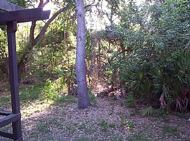 Three Bedroom, One Bath Duplex in Clearwater, FL (Photo 6 of 6)