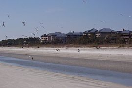 Cozy Immaculate Condo in Hilton Head Island, SC (Photo 6 of 6)