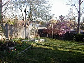 Cozy 4 bedroom house + Office room in Centennial, CO (Photo 5 of 6)