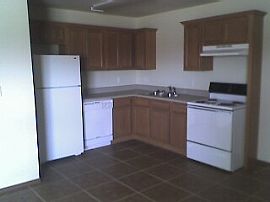 BRAND NEW 3br/2ba/1 car garage duplex in Rogers, AR (Photo 5 of 6)