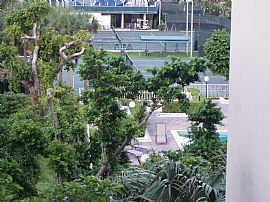 Luxury Living at the Jockey Club in Miami, FL (Photo 5 of 6)