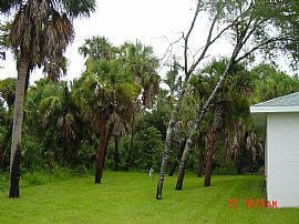 BRAND NEW 3/2/2 NORTH PORT HOME in North Port, FL (Photo 6 of 6)