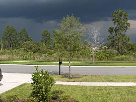 Beautiful House on Preserve in Tampa, FL (Photo 3 of 4)