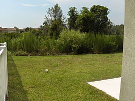 Beautiful House on Preserve in Tampa, FL (Photo 4 of 4)