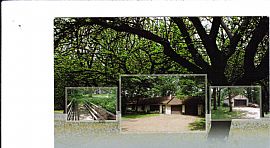 Country Home on 20 acres in North Branch, MN