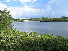 2/2/1 House on huge waterfront lot in Clearwater, FL (Photo 6 of 6)