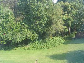 3 Floor Townhouse with Woods Scenery in Glen Burnie, MD (Photo 6 of 6)