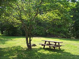 SINGLE FAMILY HOME NEAR WARRENTON (AMISS in Amissville, VA (Photo 3 of 6)