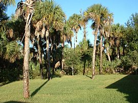This house is close to everything!  in North Port, FL (Photo 6 of 6)