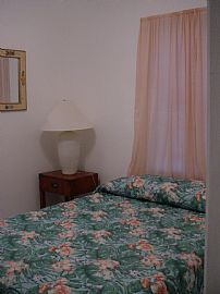 Tropical paradise in Dania Beach, FL (Photo 3 of 5)