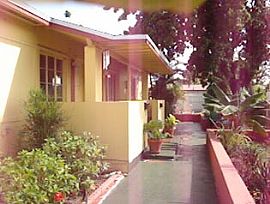 Tropical paradise in Dania Beach, FL