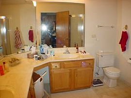 3 Br 2.5 Bath Townhome in Schaumburg, IL (Photo 6 of 6)