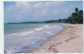 steps from beach in Naguabo, PR (Photo 2 of 5)
