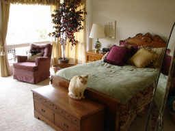 Olivenhain~Encinitas~Exclusive Townhome in Encinitas, CA (Photo 6 of 6)