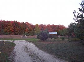 Peace and Harmony in Benzonia, MI (Photo 4 of 6)
