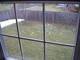 Fishers Home for Rent in Fishers, IN (Photo 5 of 5)