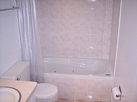 Newly remodeled 2BR codo with garage in Oak Lawn, IL (Photo 4 of 6)