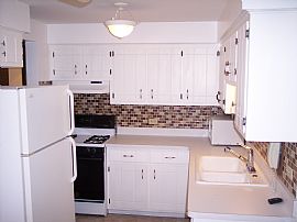 Newly remodeled 2BR codo with garage in Oak Lawn, IL (Photo 5 of 6)