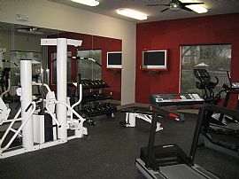 Great Move-in Specia! 1BR / 1BA Condo in Phoenix, AZ (Photo 6 of 6)