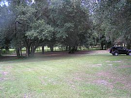 6 acre mini-farm in Ocala, FL (Photo 4 of 6)