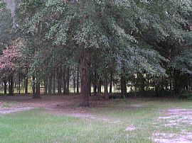 6 acre mini-farm in Ocala, FL (Photo 5 of 6)