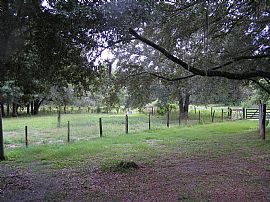 6 acre mini-farm in Ocala, FL (Photo 6 of 6)