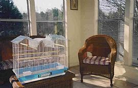 5 bedroom house with full basement in Snellville, GA (Photo 6 of 6)