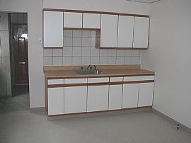 Spacious New 4 bdrm for Rent or Sale ! in Buffalo, NY (Photo 3 of 5)