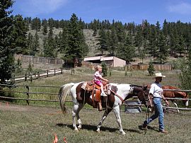 Mountain Home-Horses Allowed in Bellvue, CO