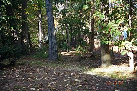 Great Location Super School System  in Manalapan, NJ (Photo 3 of 6)