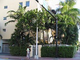 In the Center of South Beach in Miami Beach, FL