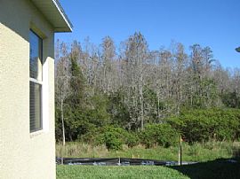 Orlando Lake Nona Area- New Home in Orlando, FL (Photo 4 of 6)