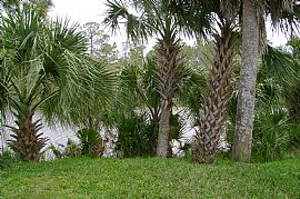 GREAT HOME ON LAKE in West Melbourne, FL (Photo 3 of 3)