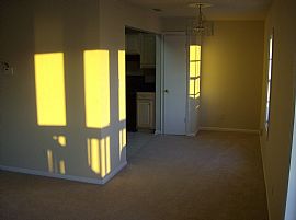 Beautiful Waterfront Condo in Saint Petersburg, FL (Photo 5 of 5)