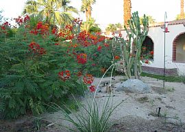 AVAILABLE NOW, central location in Palm Desert, CA (Photo 4 of 4)