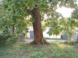 OWN ME FOR LESS THAN IT COSTS TO RENT! in Kansas City, MO (Photo 5 of 6)