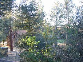 Beautiful 1/2 house on acreage in Pine Valley, CA