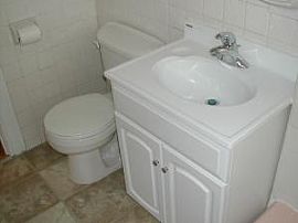 Recently renovated apt available May 1st in Malden, MA (Photo 1 of 4)