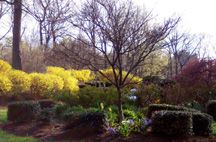 Reston: Attractive, Convenient in Reston, VA (Photo 3 of 4)