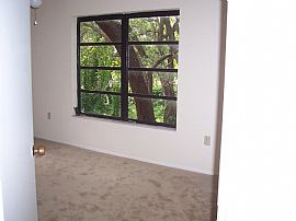 2 Beautiful acres of privacy! in Sarasota, FL (Photo 4 of 5)