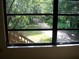 2 Beautiful acres of privacy! in Sarasota, FL (Photo 5 of 5)