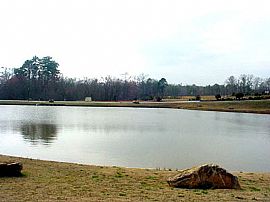 Master Down on the Lake! in Jackson, GA (Photo 6 of 6)