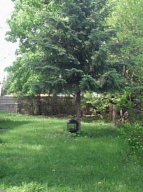 3 bedroom single family home in Lansing, MI (Photo 4 of 6)