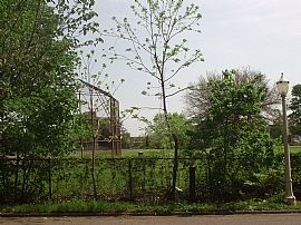 3 bedroom single family home in Lansing, MI (Photo 6 of 6)