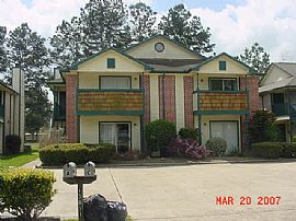 Ravensway Condos For Lease in Cypress, TX (Photo 2 of 6)